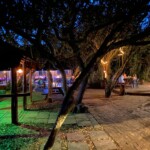bushcamp 2