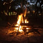 fire1
